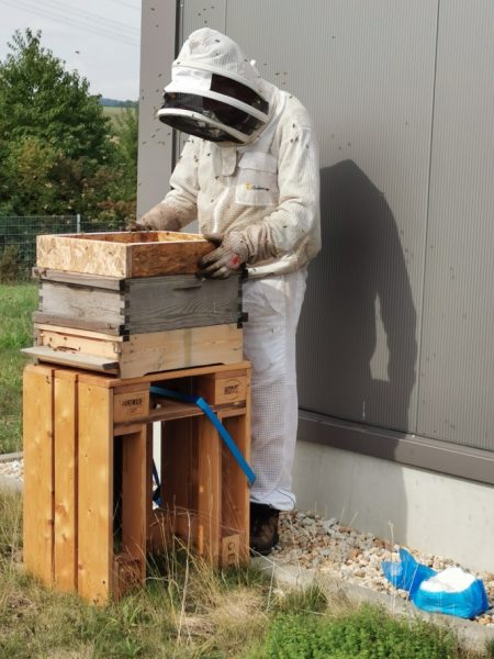 Imker steht vor einem Bienenstock, im Hintergrund eine Formenbauer Fabrik zu erkennen